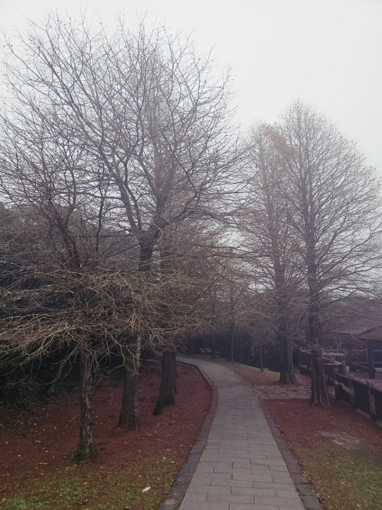 2025臺北大縱走第三段：小油坑至風櫃口_2973458