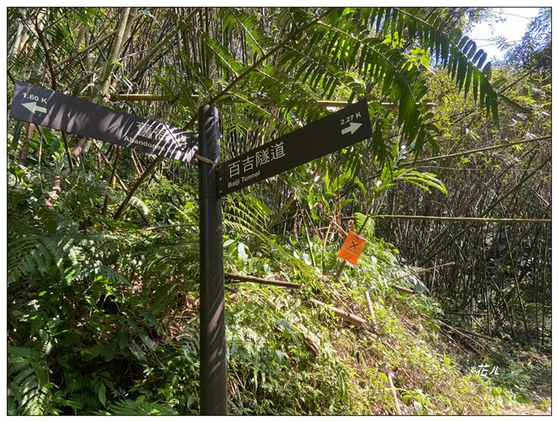 草嶺山、白石山、頭寮山 六連峰 O型路線_2798625