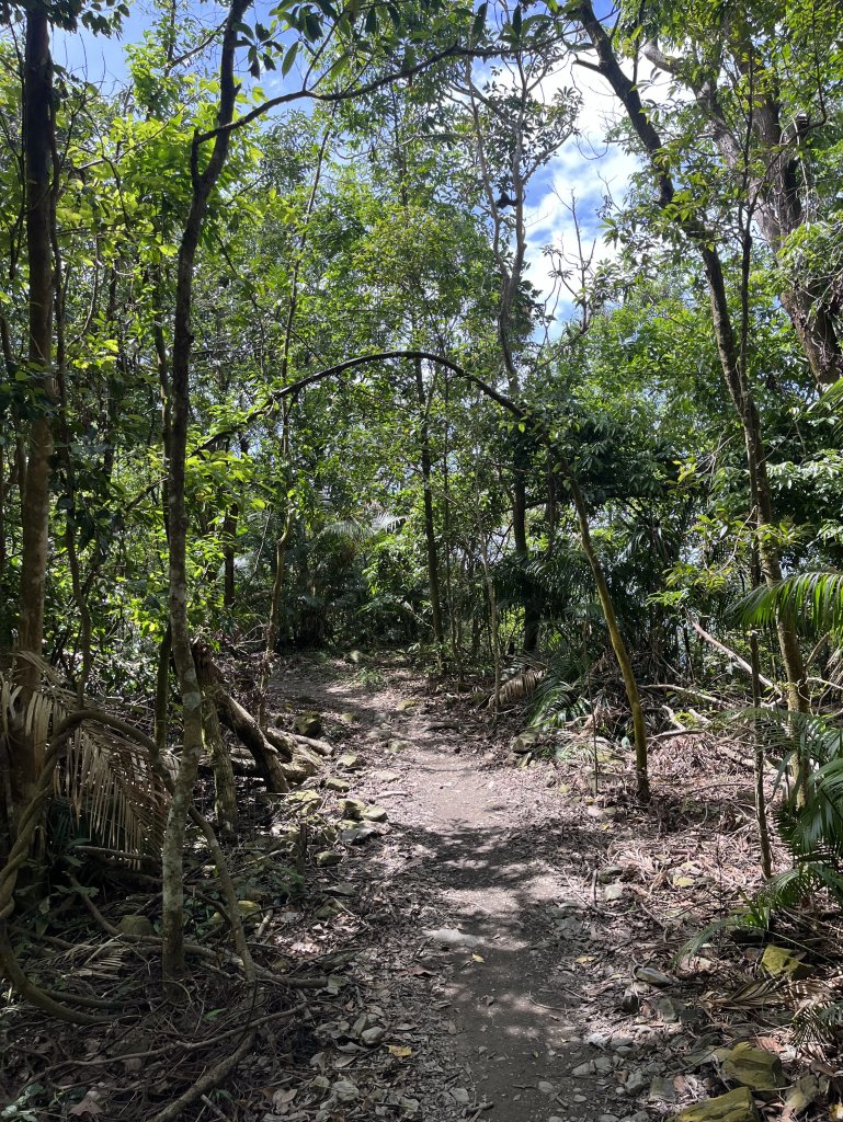 [屏步青雲 尋寶任務-02/10] 2024_0916 尾寮山登山步道_2597357