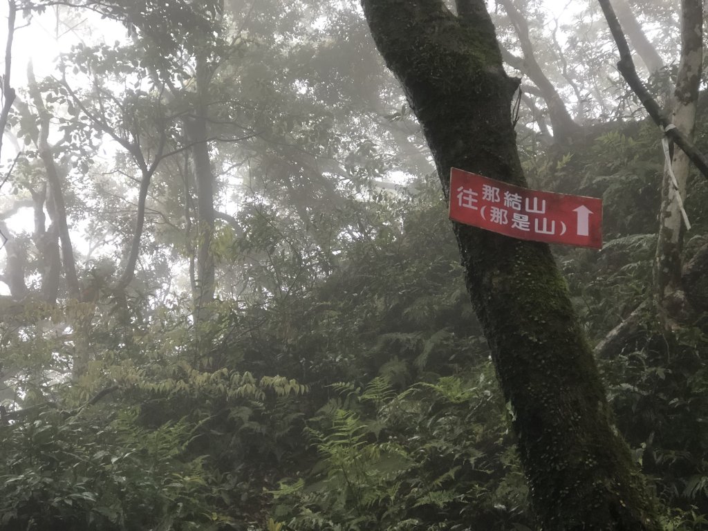 2018.04.07復興三尖-那結山_1005334