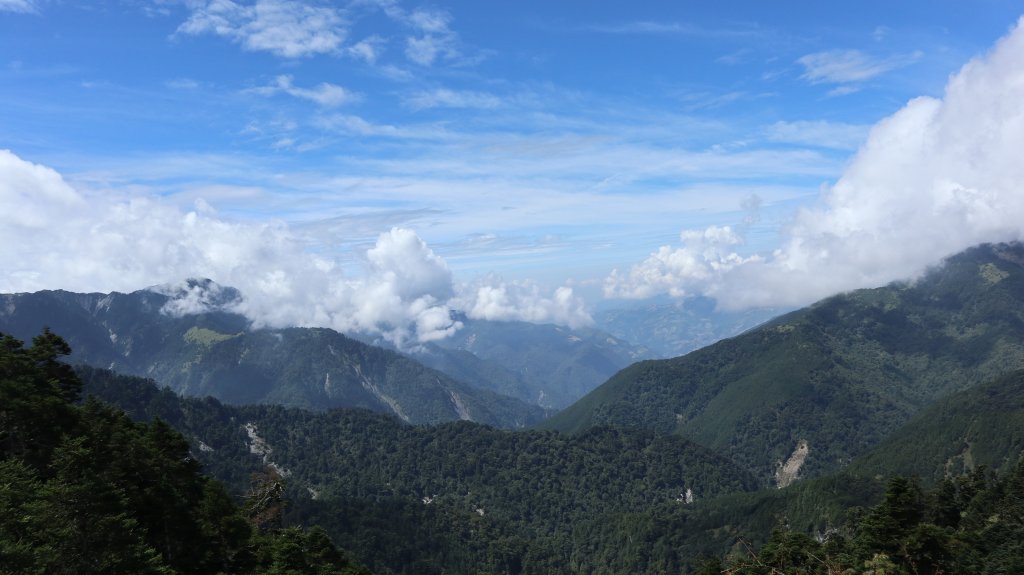 奇萊主山登山健行趣(百岳20號)_2289922