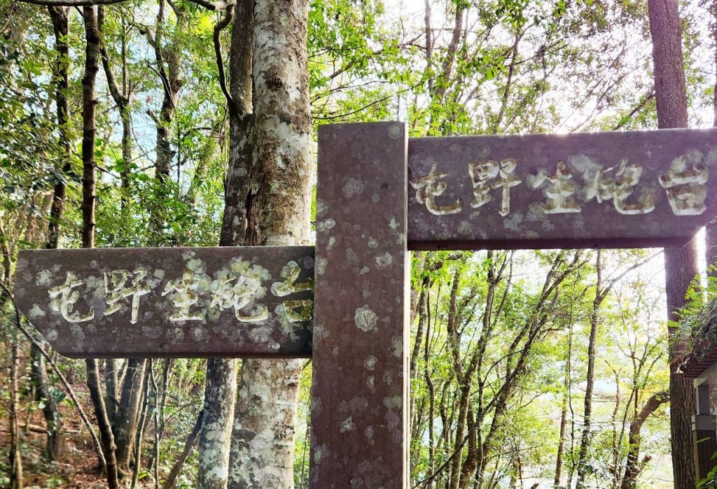 【中級山】芝生毛台山，芝生毛台山西峰，秀巒軍艦岩，屯野生步道，屯野生砲台_2745140