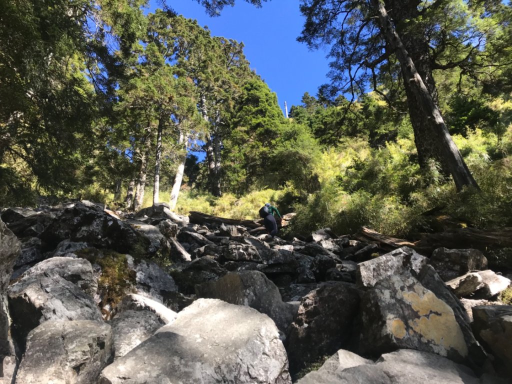 玉山前鋒！八百公尺到天堂的距離_751166