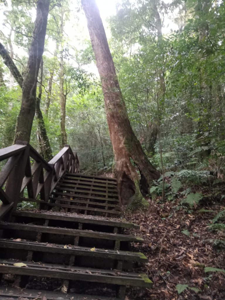 東藤枝山及藤枝山_1882168