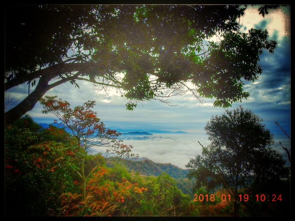 107/1/19 頭嵙山 大坑4號3號步道_262173