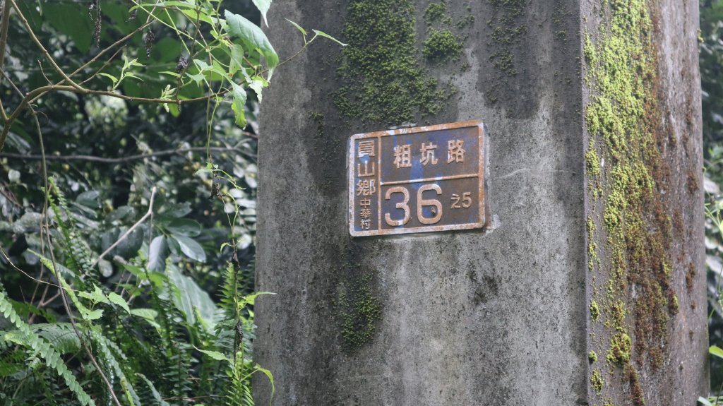 冷埤登山健行趣_2447629