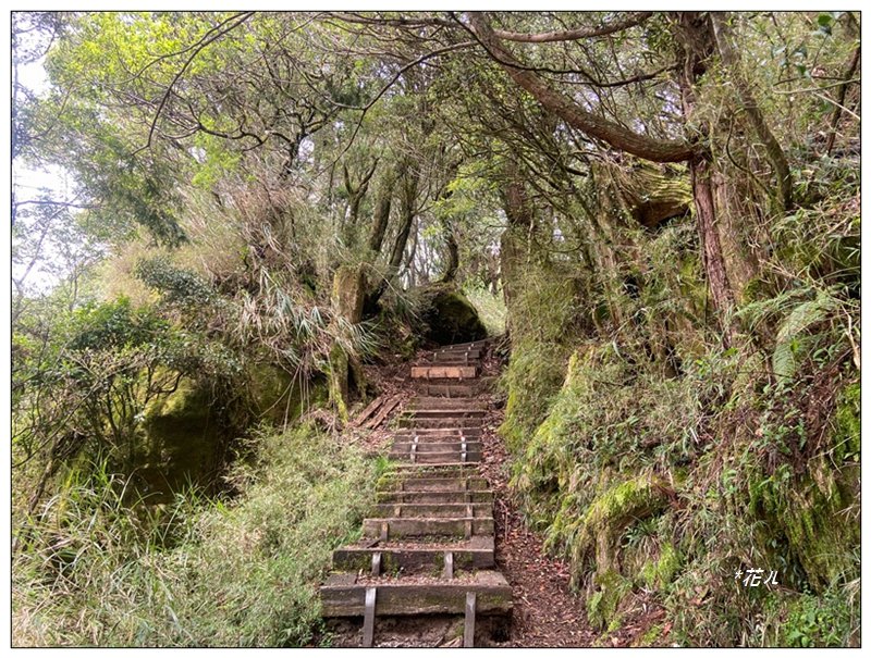 大塔山 (小百岳最高峰)_2773196