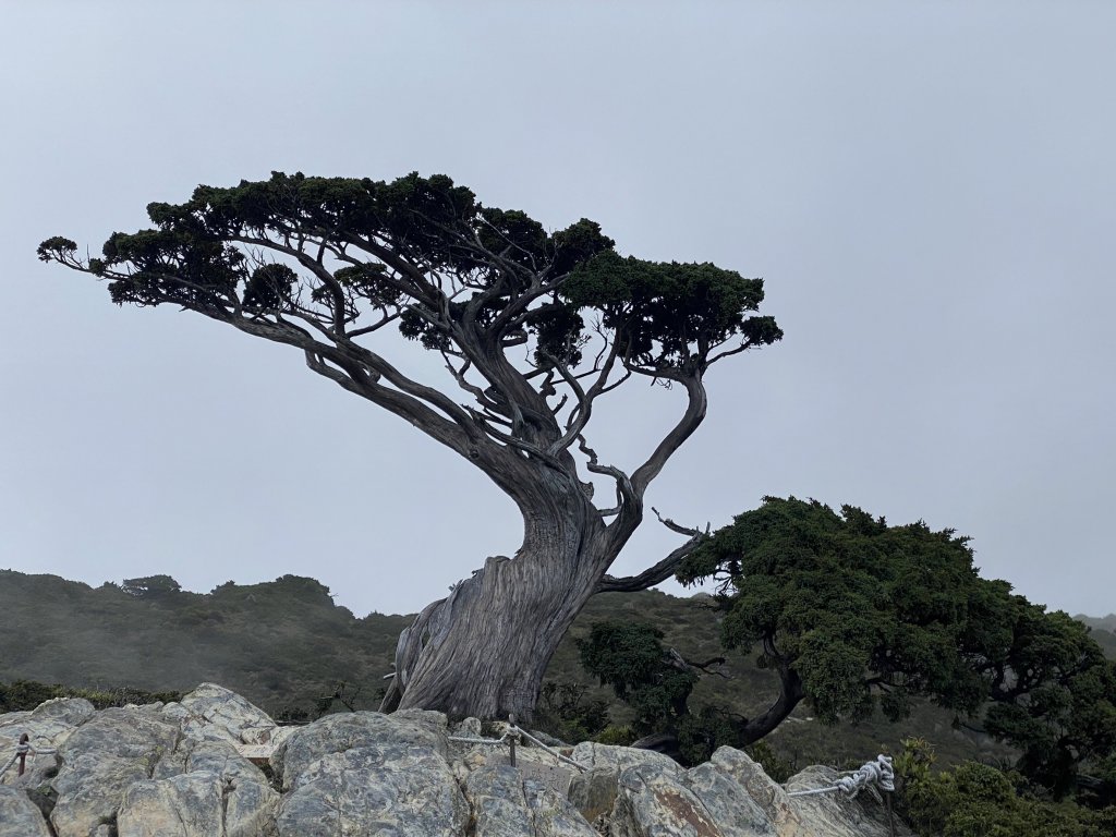 2022/06/02-2022/06/03(兩天一夜-嘉明湖/向陽山/三叉山)_1728596