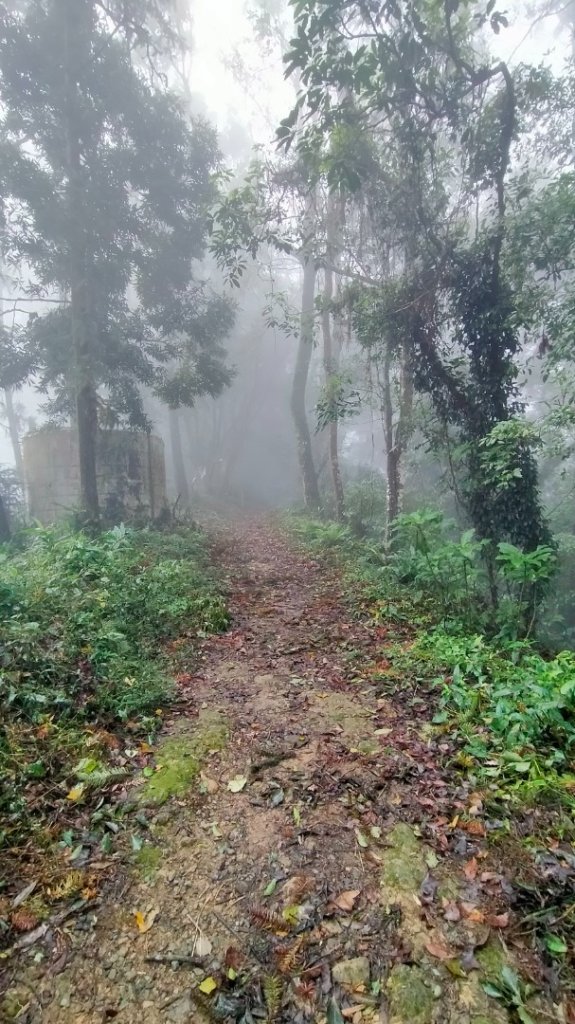 關刀山_2645282