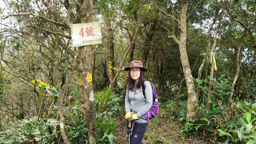 筆架連峰1131124_2653222