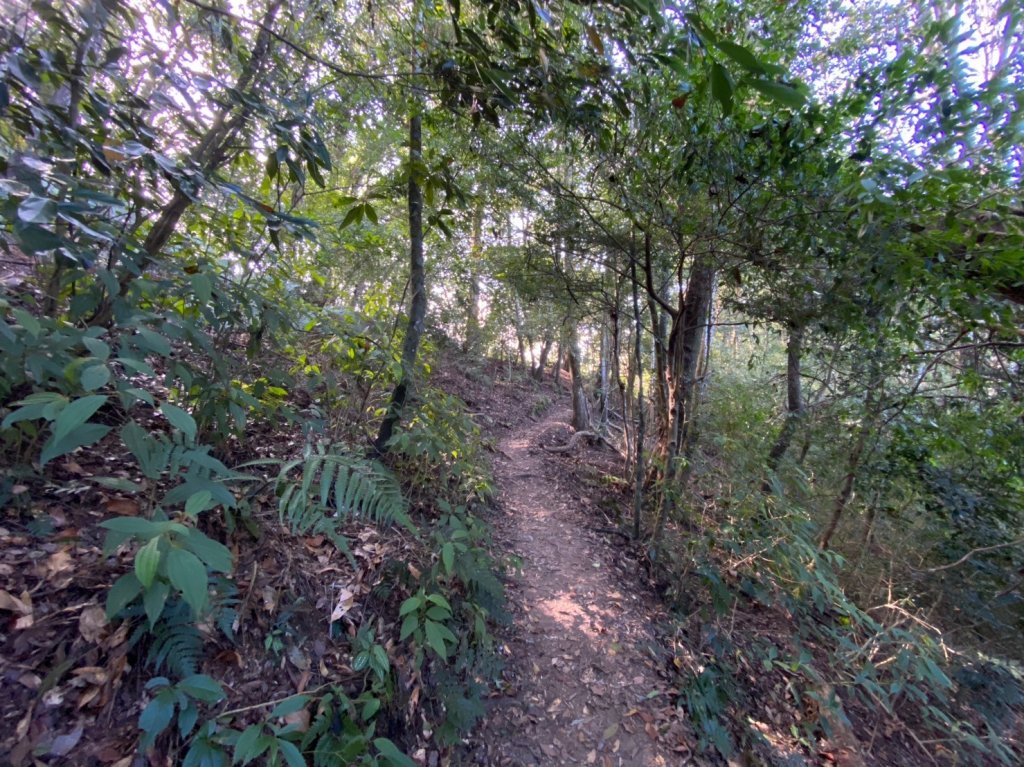 唐麻丹山-松鶴上三角點O型回松鶴_2378372