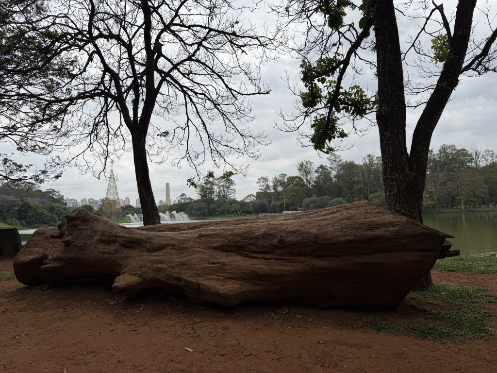 [紐約馬之行-68] 2025_1116 伊比拉布埃拉公園-中_2955134