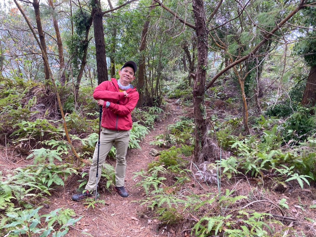 硫磺谷.龍鳳谷.大砲岩.石壇山【大巨蛋 跳起來 可以嗎?】_2686319
