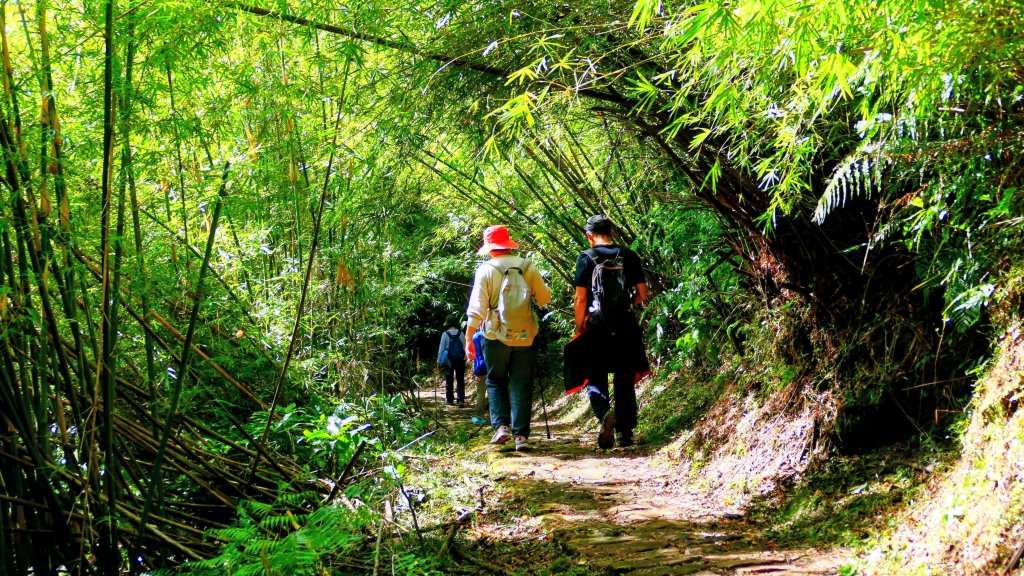 向天蝦不蝦_2936807