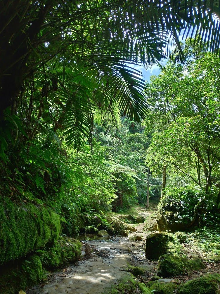 走入山林 清涼一夏：三貂嶺瀑布群_643111