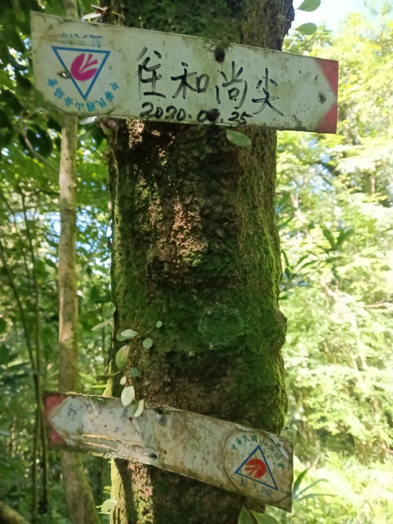 平溪區平湖尖+南山坪山+司公碗帽山+和尚尖O型_2810796