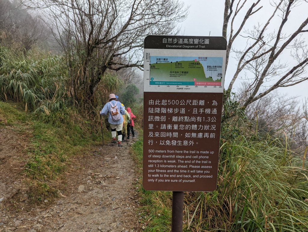 山毛櫸的尾聲，還有一番美景！_1921082