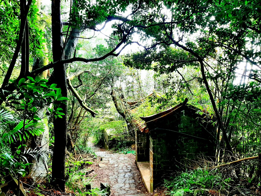 走遍陽明山：大屯山系｜面天山、向天山_2090342