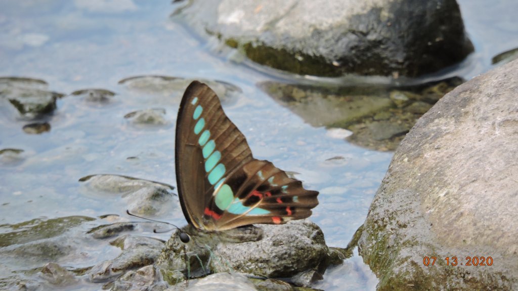 就是喜歡這個藍天白雲的FU_1032051