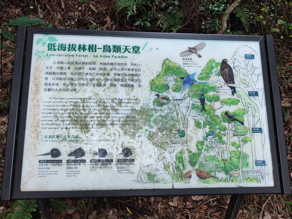 五酒桶山_3003912