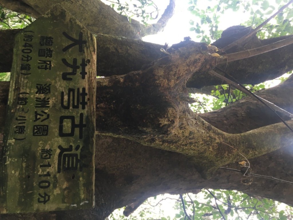 頭寮山o(慈湖、秘密花園咖啡☕️_2649014