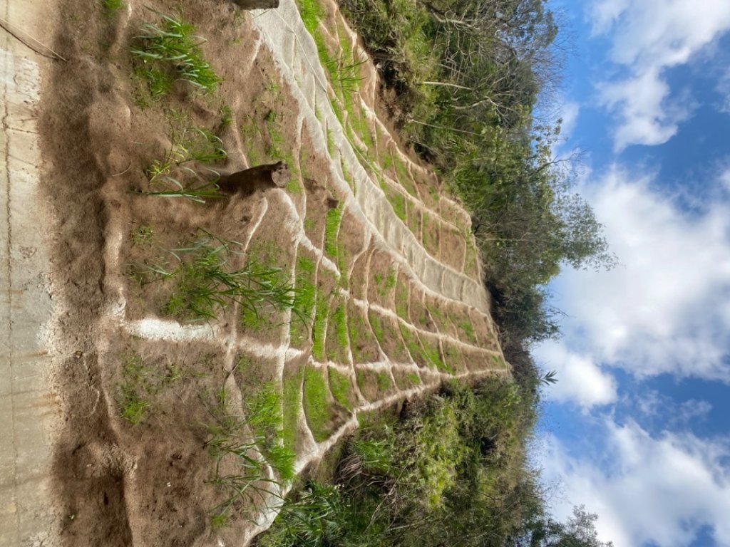 聚興山#40號小百岳_1619551