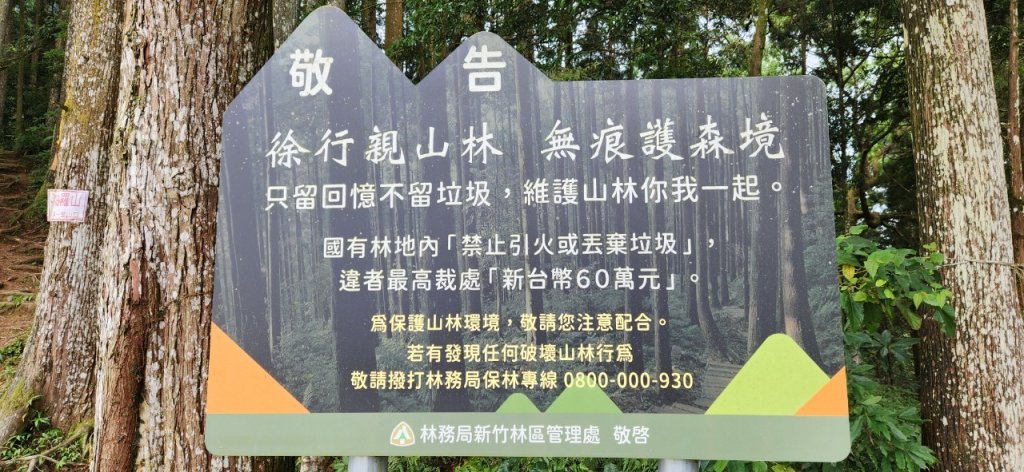 【中級山】來過一次，你不會忘記它的名字，新竹油羅山_2743741