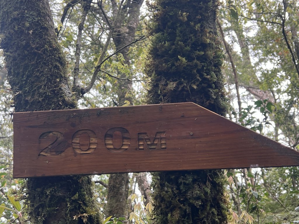 ~  塔  曼  山  ~_2782837