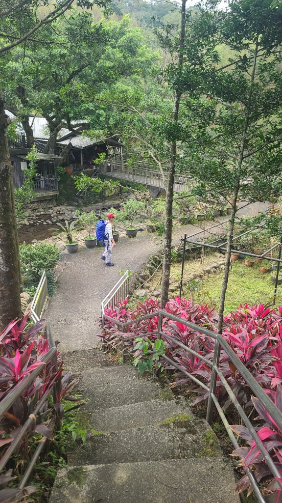 2025-01232淡蘭古道北二段(燦光寮古道到澳底)_2696682