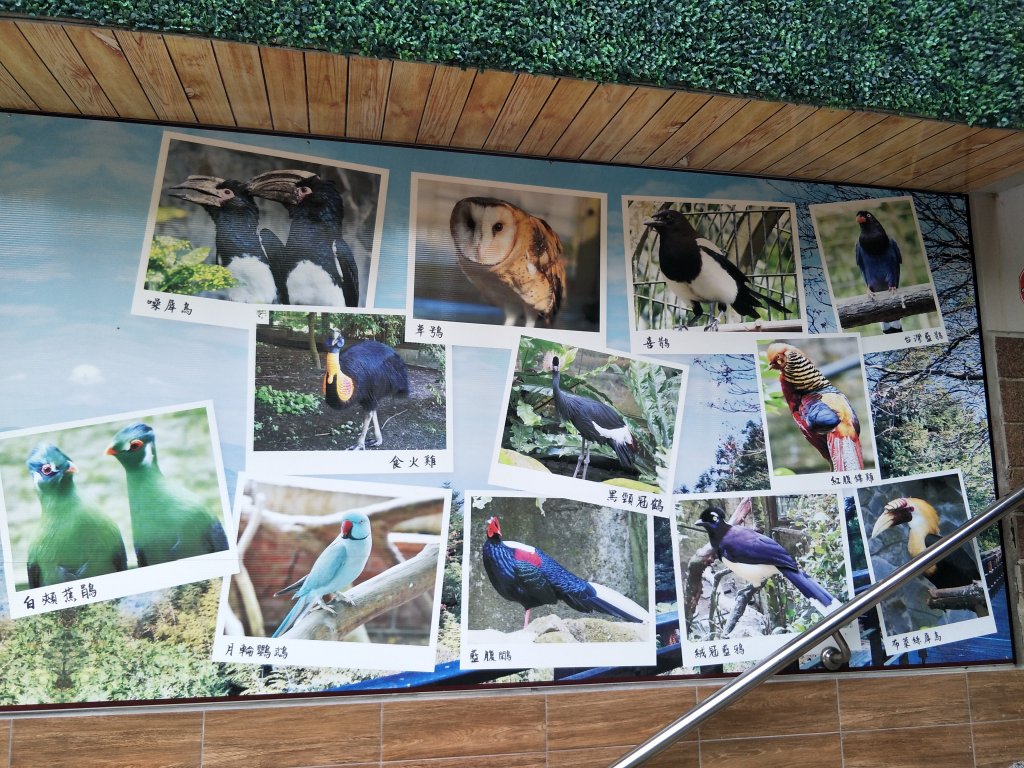 鳳凰谷鳥園生態園區封面圖
