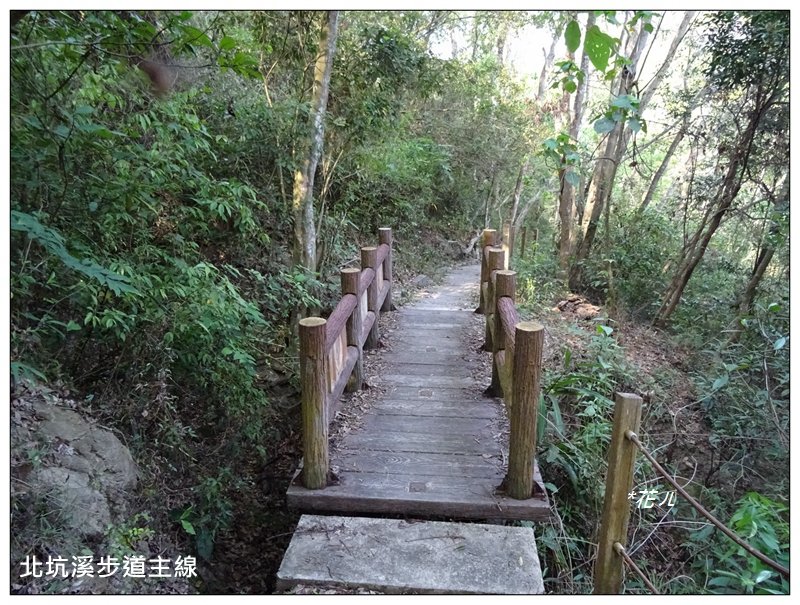 霧峰/桐林花廊步道_924415