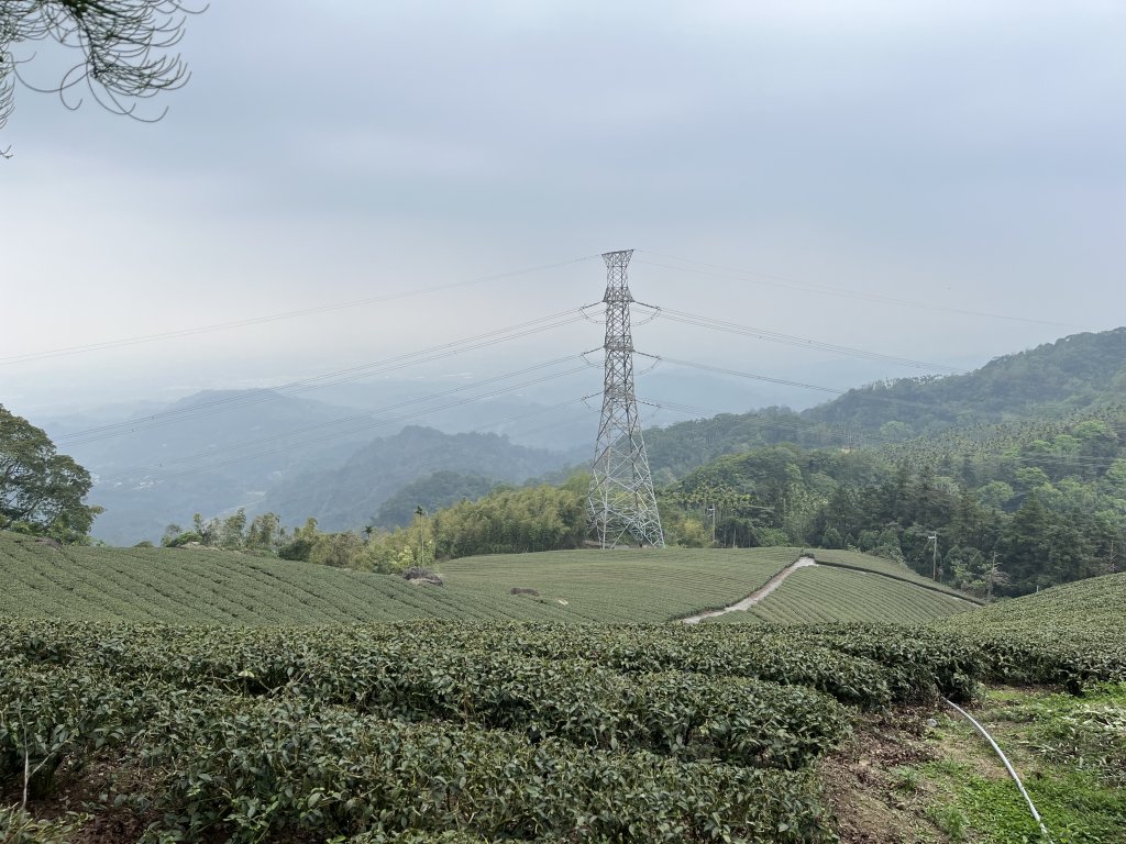 2023_0429_挑筍古道_2138212