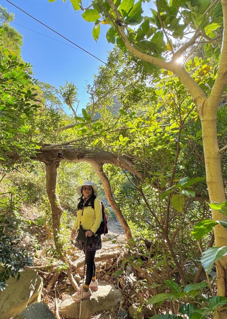 楓港紫竹林龍峰寺起登 里龍山(小百岳#80)來回_2964459