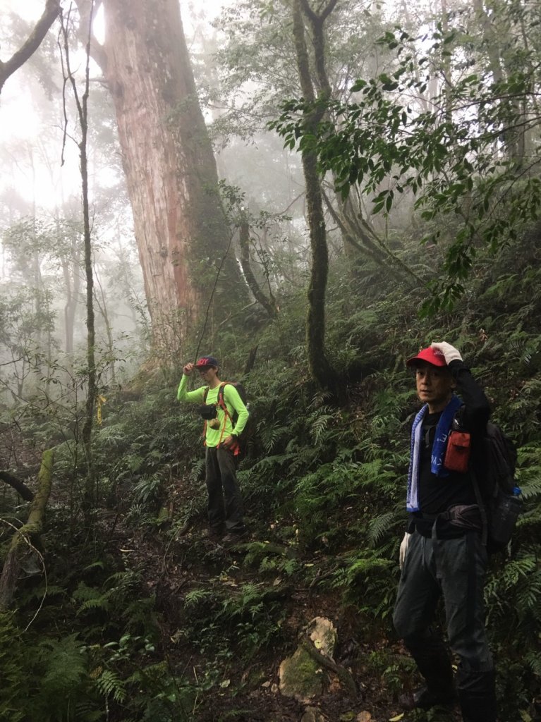 復興尖山之速_446676