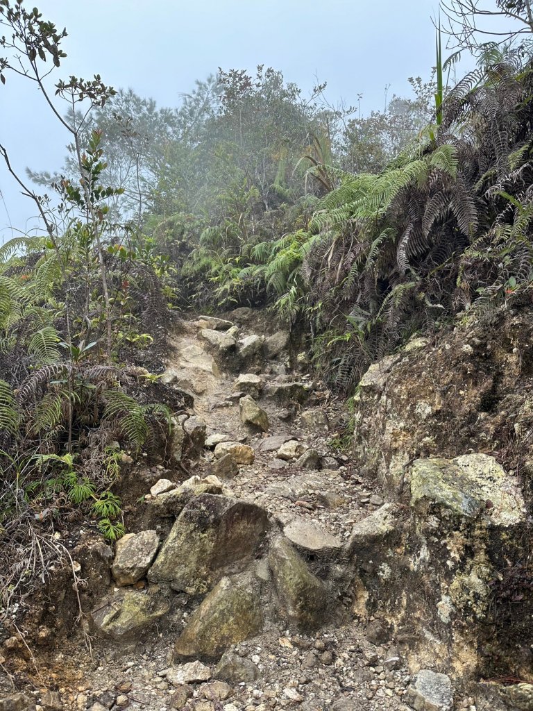 很硬的水社大山很幸運看到大景_2388207