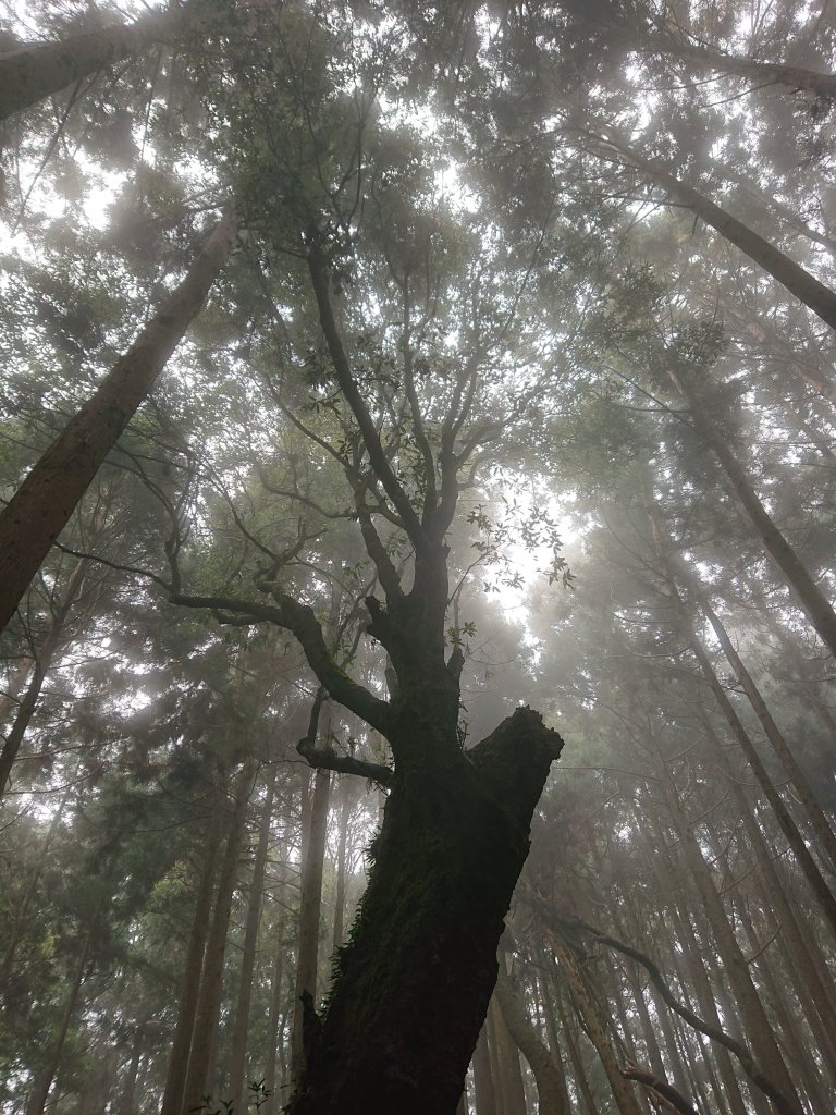 民都有山(面托油山)_1499669