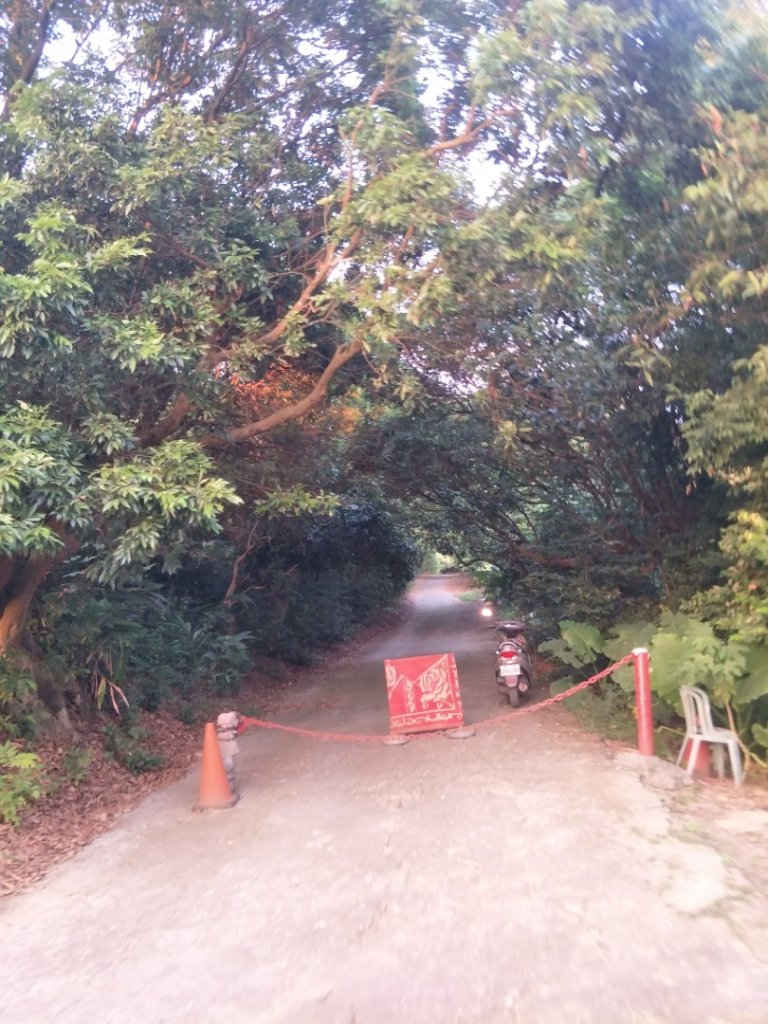 坔埔山登山步道_1518276