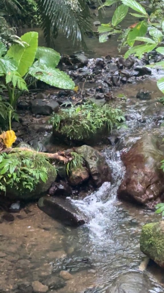 新竹橫山-騎龍古道_2613609