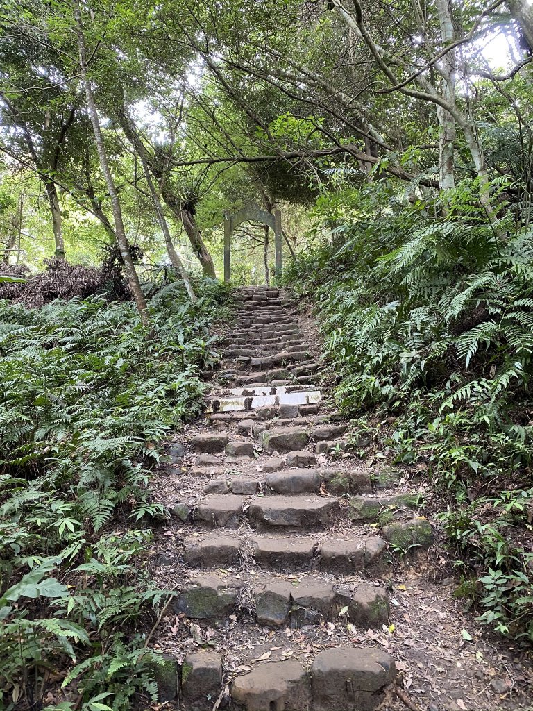 沒想到在這也能看見牠的身影!_1319353