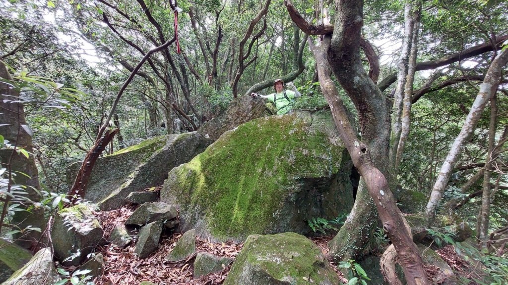 楓樹湖古道登面天北稜上面天山_2782215