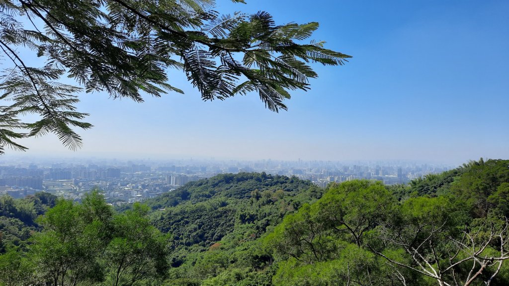 《台中》爬山買菜｜大坑步道10上9下20221113_1908916