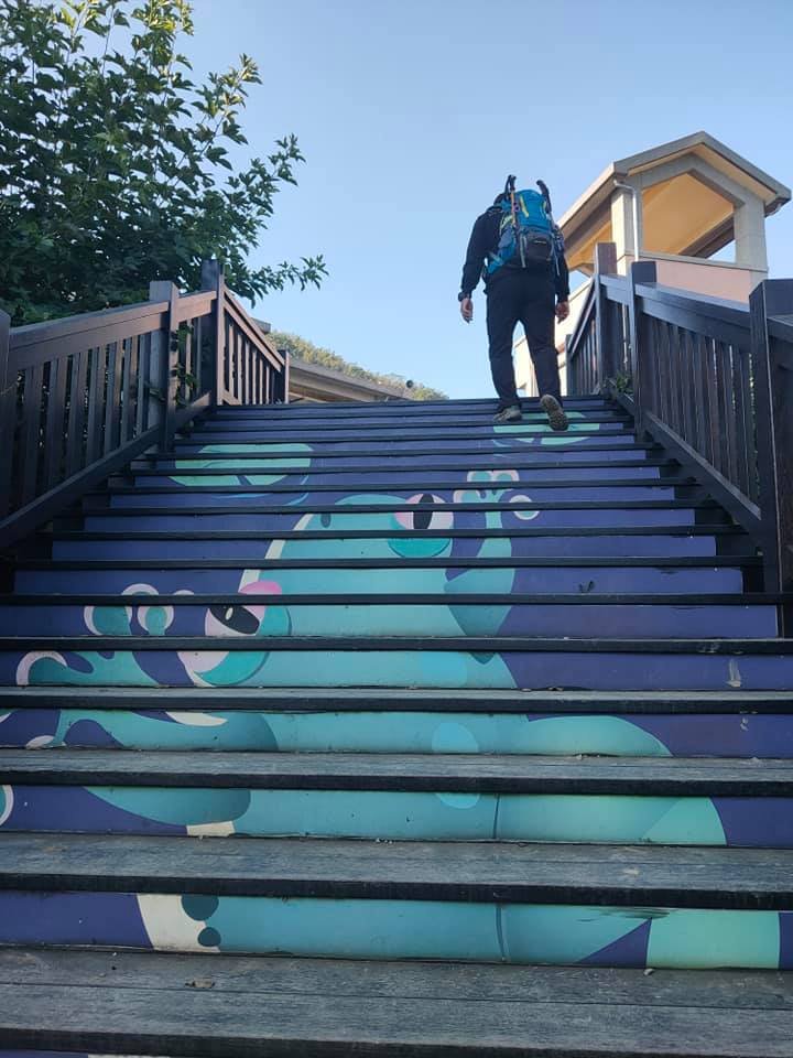 挑筍古道(大尖山、後棟仔山步道)_1262761