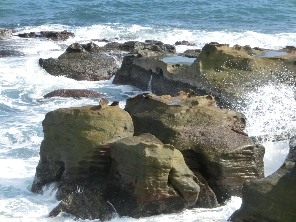 金山魚路古道．獅頭山公園_91834
