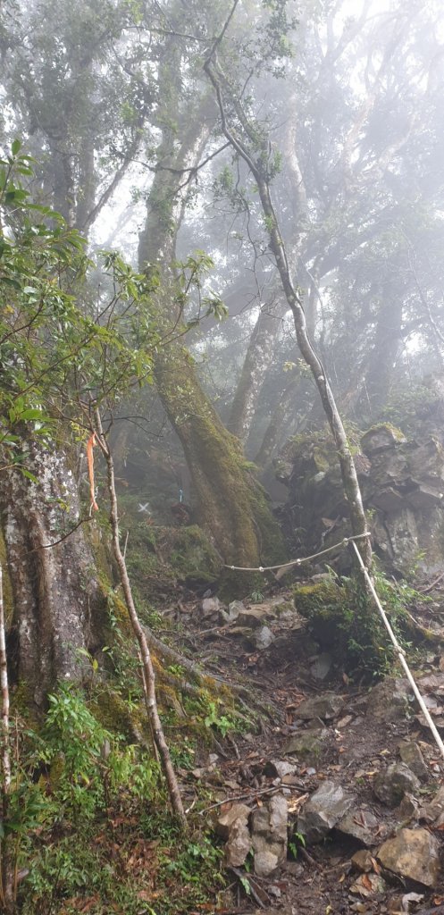霞喀羅古道_687012