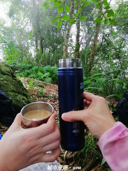 【嘉義。大埔】手腳並用之無止盡的攀爬~回憶一次就夠了。 小百岳集起來。編號65小百岳~三腳南山_1485470