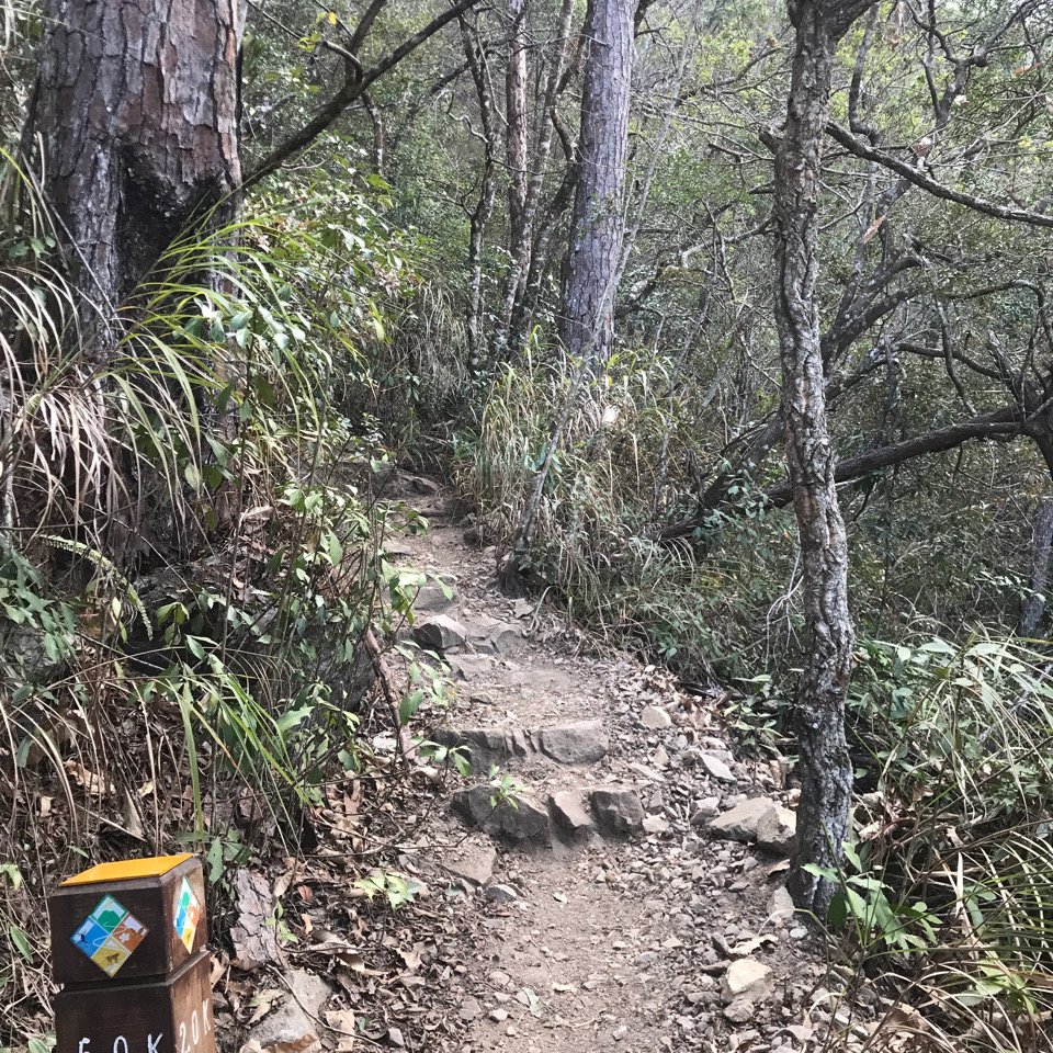 谷關七雄 馬崙山（老二）2023.03.04_2051346