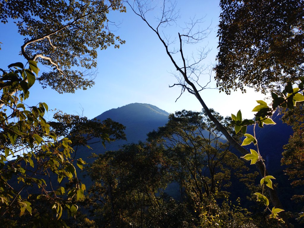 佳保台山-八仙山封面圖