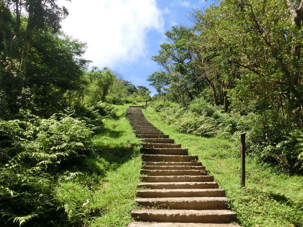 桃源谷．灣坑頭山步道_141024