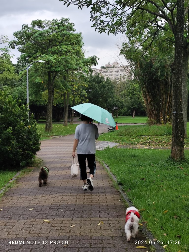 大安森林公園、寧夏夜市、士林夜市【走路趣尋寶】【臺北健走趣】_2536314