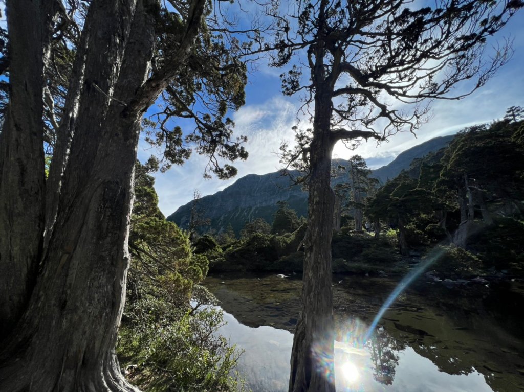 雪山主東北下翠池｜4天4夜｜北稜角上雪北｜聖稜線Y型縱走｜拜訪童話夢幻小屋｜入門C+級縱走_2088421